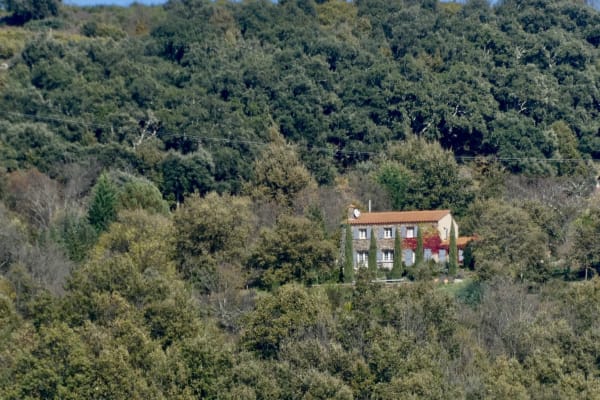 House sit in Ceret, France