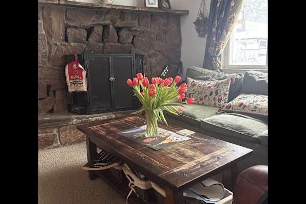 House sit in South Lake Tahoe, CA, US