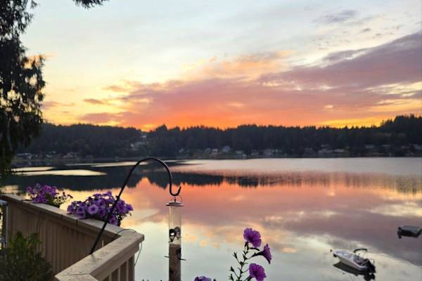 House sit in Olympia, WA, US