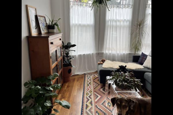 House sit in Berkeley, CA, US