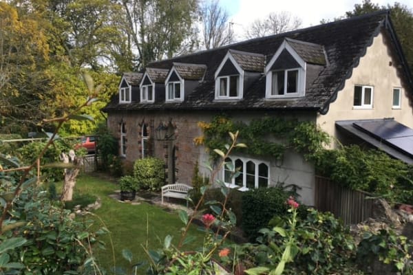 House sit in Totnes, United Kingdom