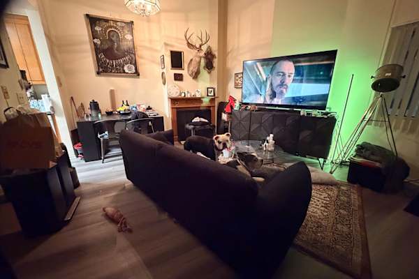 House sit in Studio City, CA, US