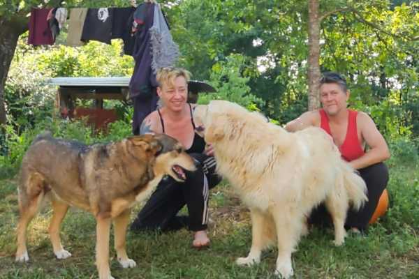 House sit in Santa Comba Dão, Portugal