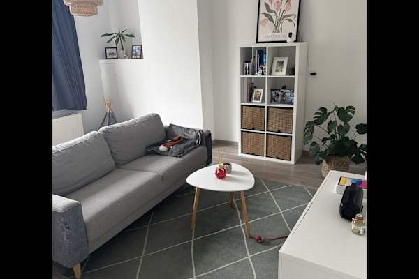 House sit in Rotterdam, Netherlands
