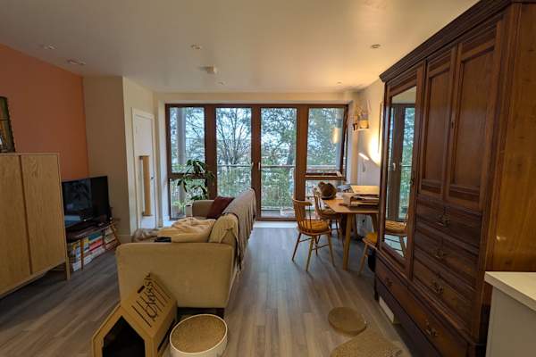 House sit in Croydon, United Kingdom