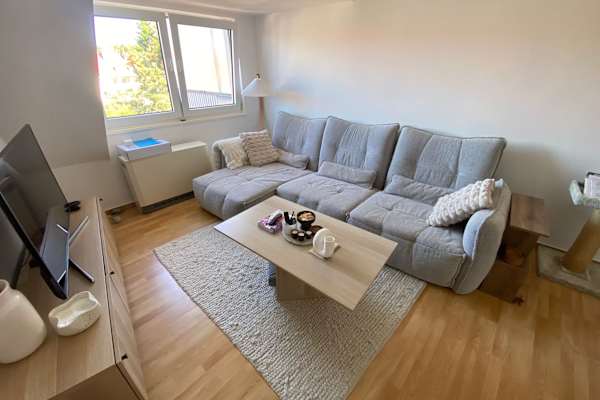 House sit in Hildesheim, Germany