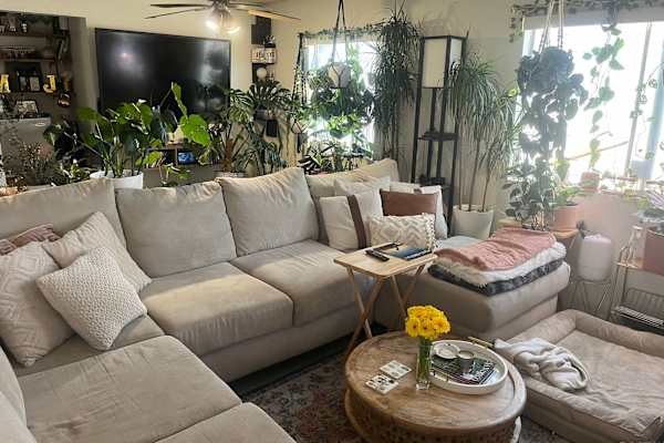 House sit in Ocean Beach, CA, US