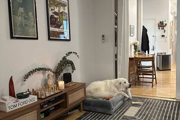 House sit in Brooklyn, NY, US