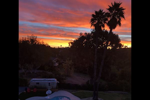 House sit in La Mesa, CA, US