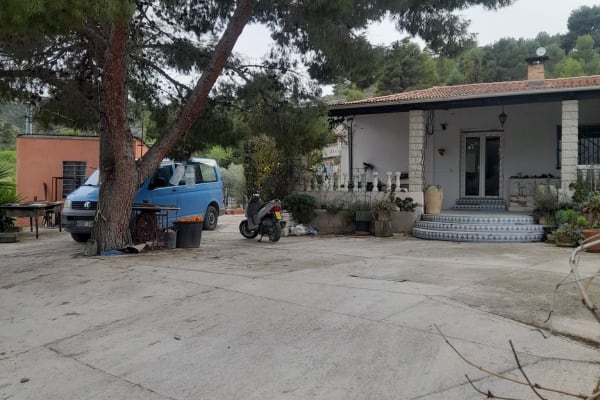 House sit in Hondón de las Nieves, Spain