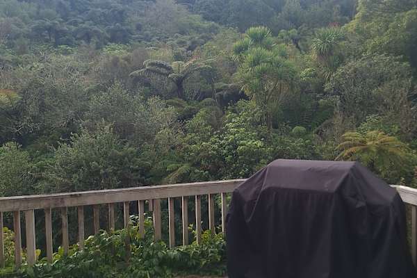 House sit in Cambridge, New Zealand