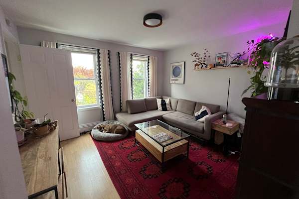 House sit in Boston, MA, US