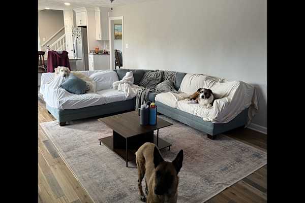 House sit in Virginia Beach, VA, US