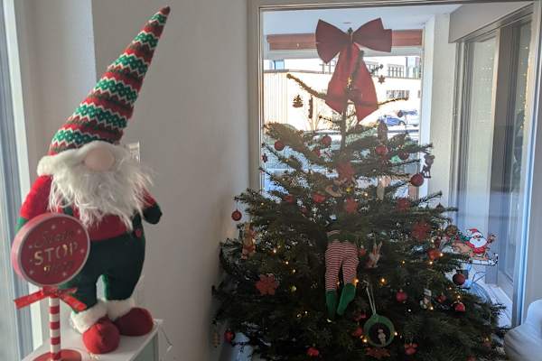 House sit in Romont, Switzerland