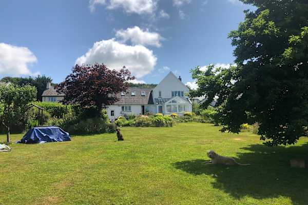 House sit in Barnstaple, United Kingdom