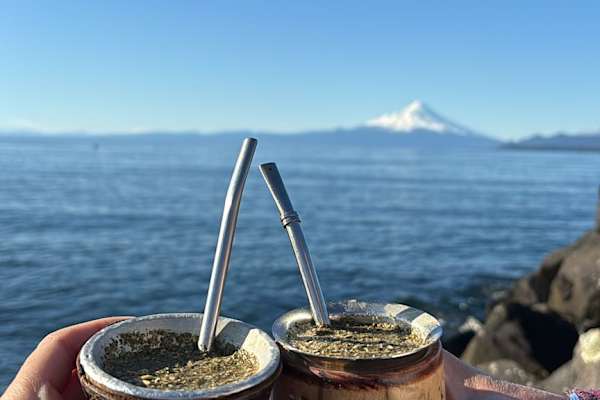 House sit in Puerto Montt, Chile