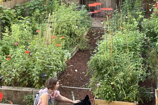 House sit in Brooklyn, NY, US