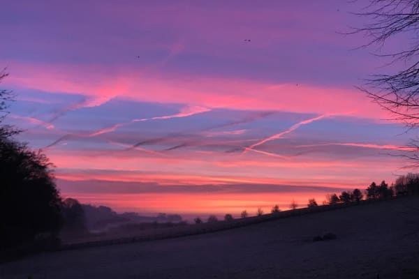 House sit in Marlborough, United Kingdom