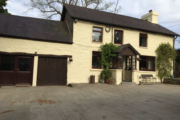 House sit in Lampeter, United Kingdom