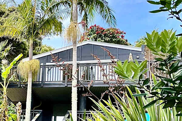 House sit in Auckland, New Zealand