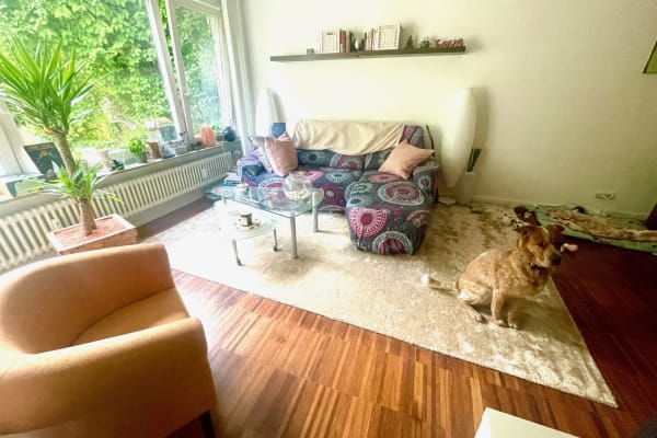 House sit in Stuttgart, Germany