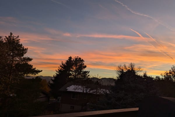 House sit in Lakewood, CO, US
