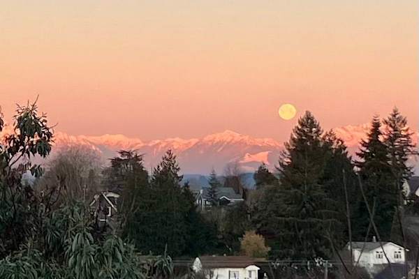 House sit in West Seattle, WA, US