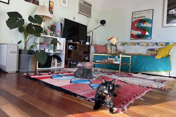 House sit in Los Angeles, CA, US