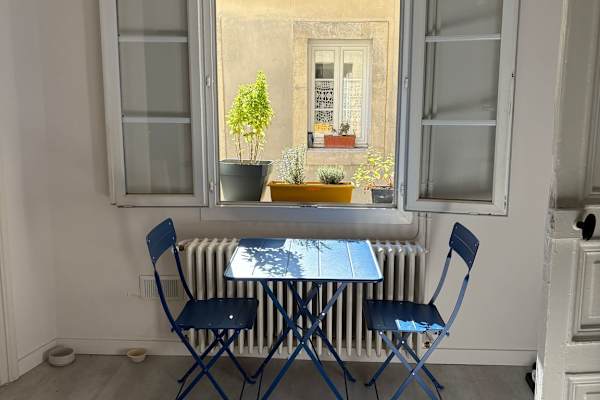 House sit in Montpellier, France