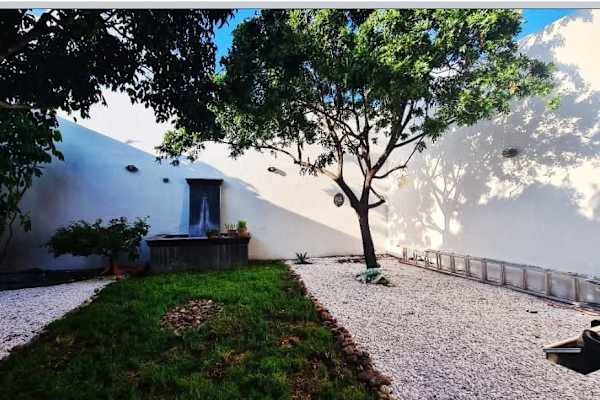 House sit in San Miguel de Allende, Mexico