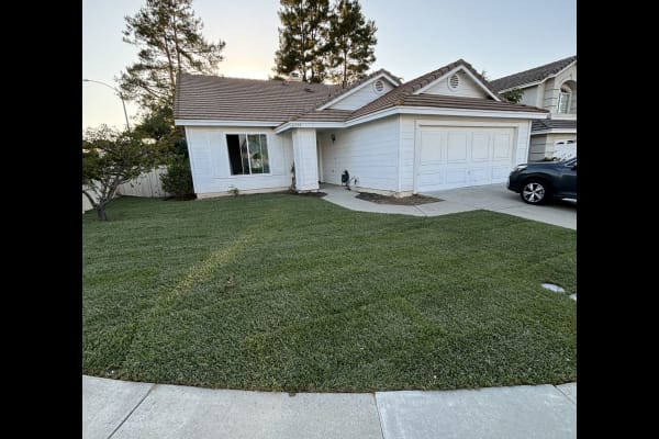 House sit in Temecula, CA, US