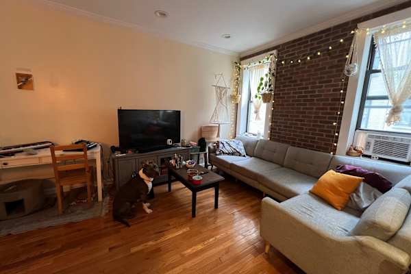 House sit in Brooklyn, NY, US