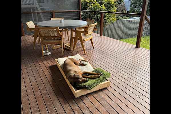 House sit in Brisbane, QLD, Australia