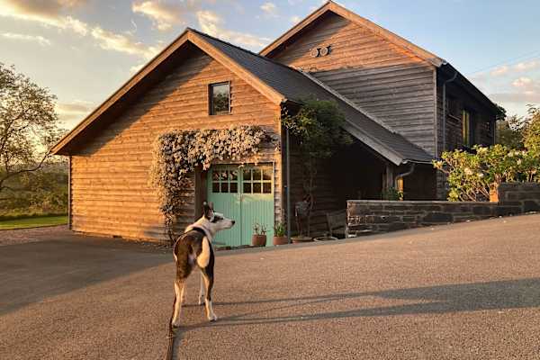 House sit in Aberystwyth, United Kingdom