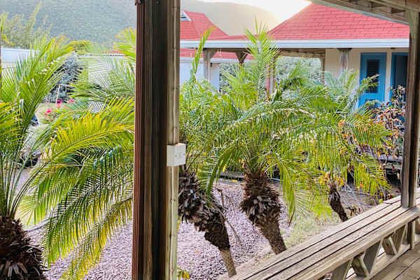 House sit in Charlestown, Saint Kitts and Nevis