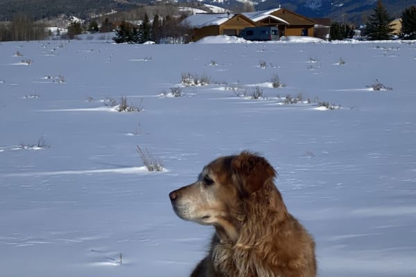 House sit in Driggs, ID, US