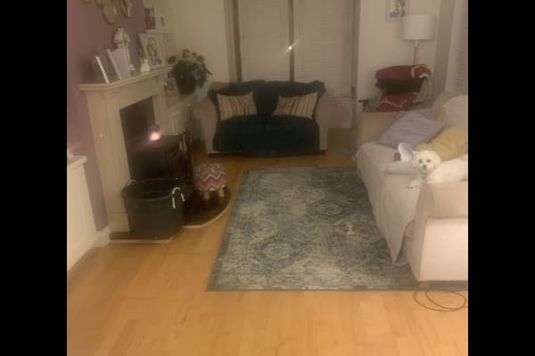 House sit in Tralee, Ireland