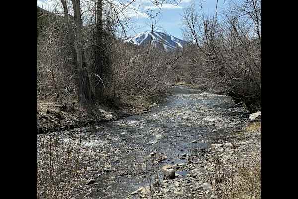 House sit in Ketchum, ID, US