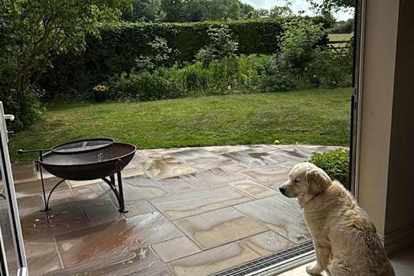 House sit in Westmill, United Kingdom