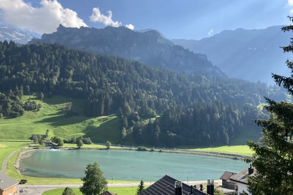 House sit in Engelberg, Switzerland