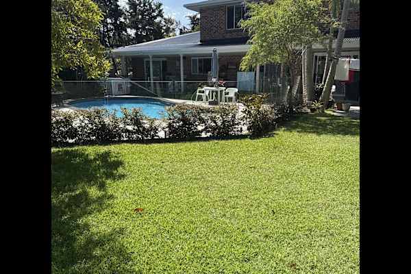 House sit in Port Macquarie, NSW, Australia