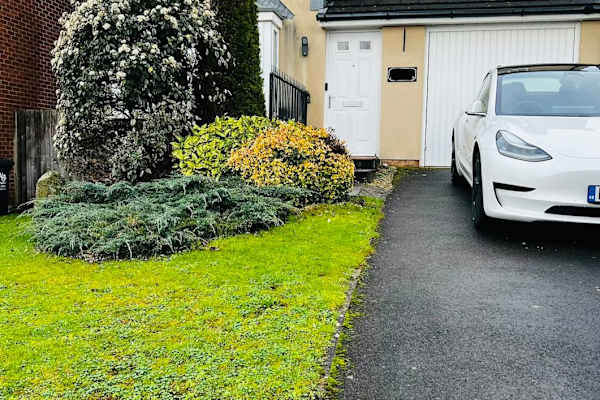 House sit in Newport, United Kingdom