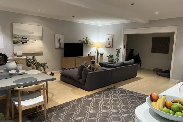 House sit in Sydney, NSW, Australia