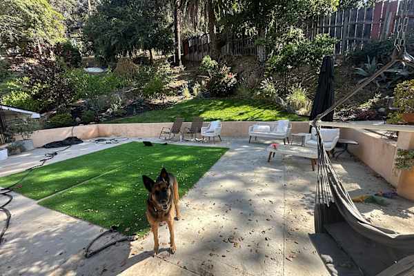 House sit in Los Angeles, CA, US