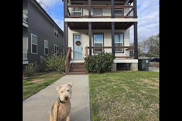 House sit in Chattanooga, TN, US