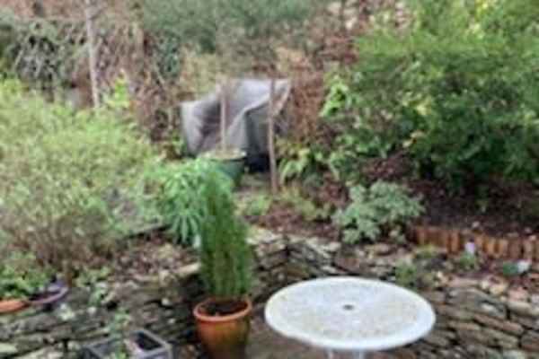 House sit in Truro, United Kingdom