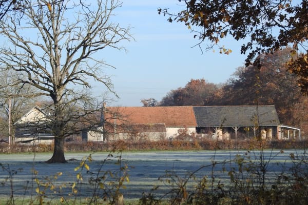 House sit in Gouzon, France