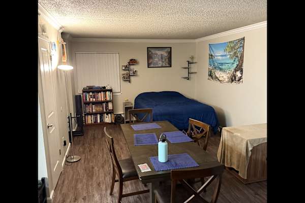 House sit in Alameda, CA, US