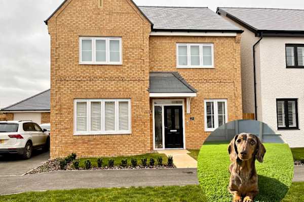 House sit in Sawtry, United Kingdom
