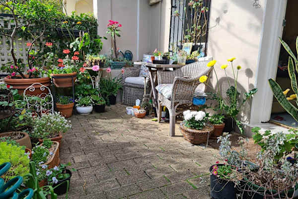 House sit in Sydney, NSW, Australia